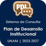 PLAN DESARROLLO INSTITUCIONAL UNAM