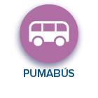 PUMABUS